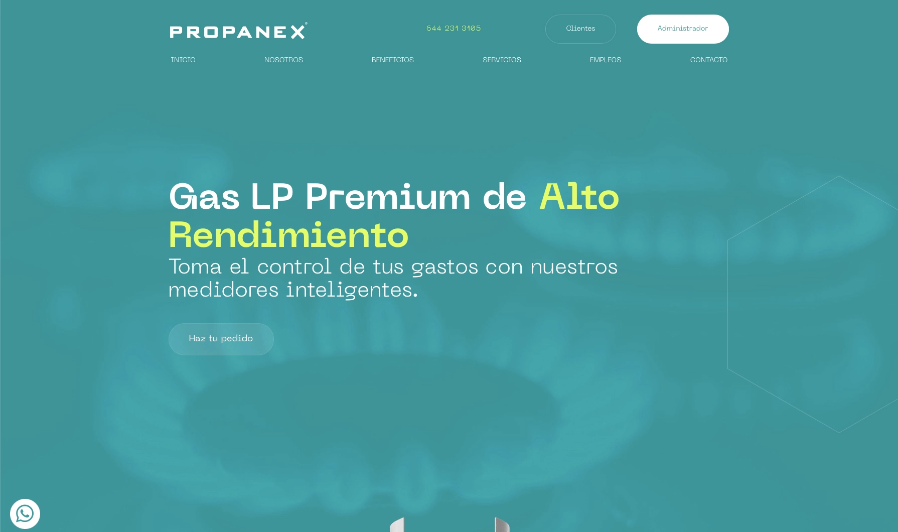 PROPANEX Diseño y desarrollo web